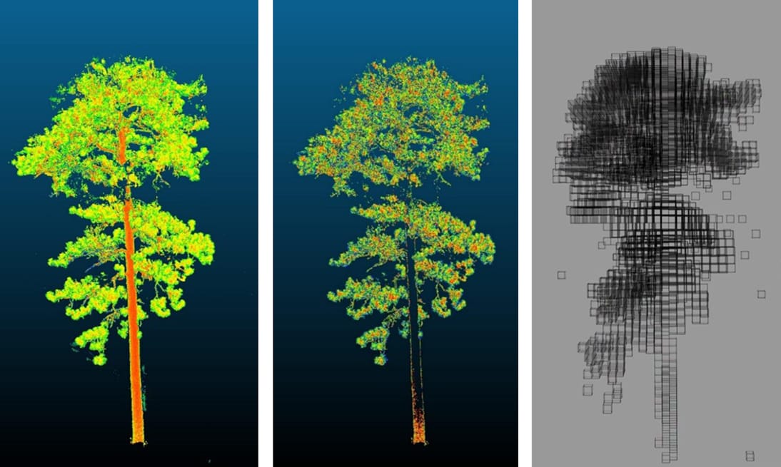 Terrestrial laser scanning is being used to both identify vegetation structure, but also components like leaf area, surface to volume ratios, and bulk density. Converting these scans into “voxels” (i.e., cubes) of fuel that models can use is a critical step in our work.