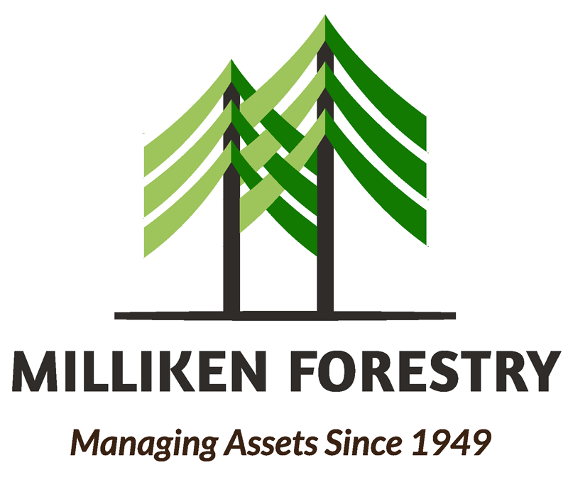Milliken Forestry Tall Timbers