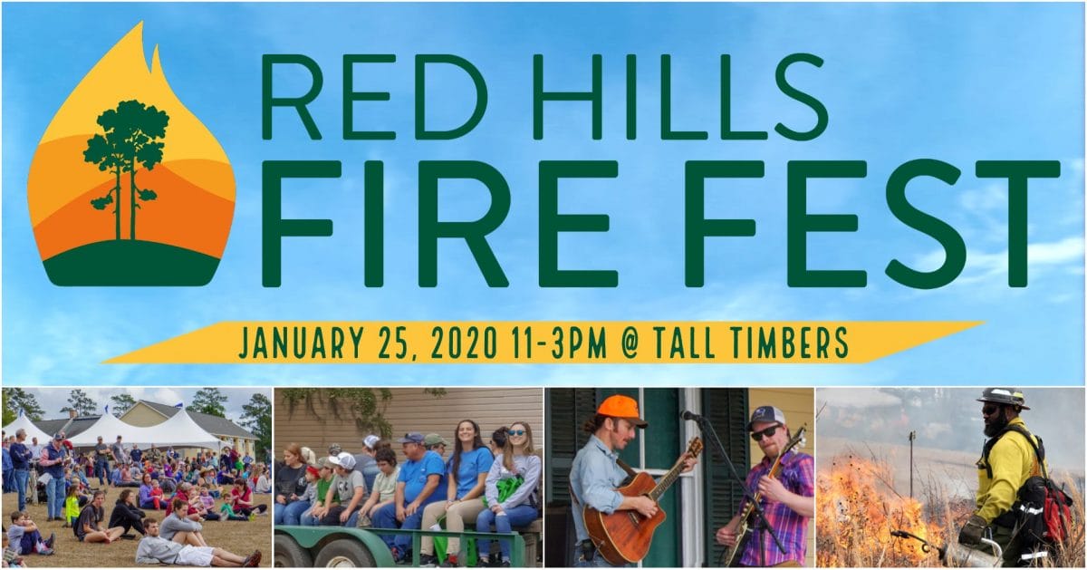 Fire Festival Coming in January