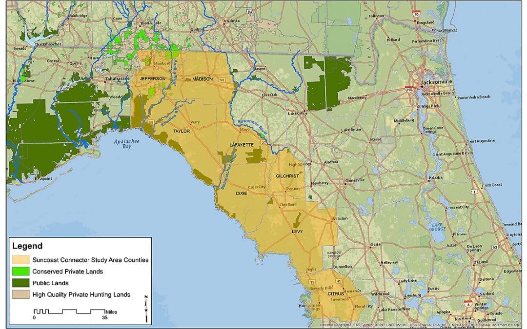 Toll Road Plan Threatens Red Hills
