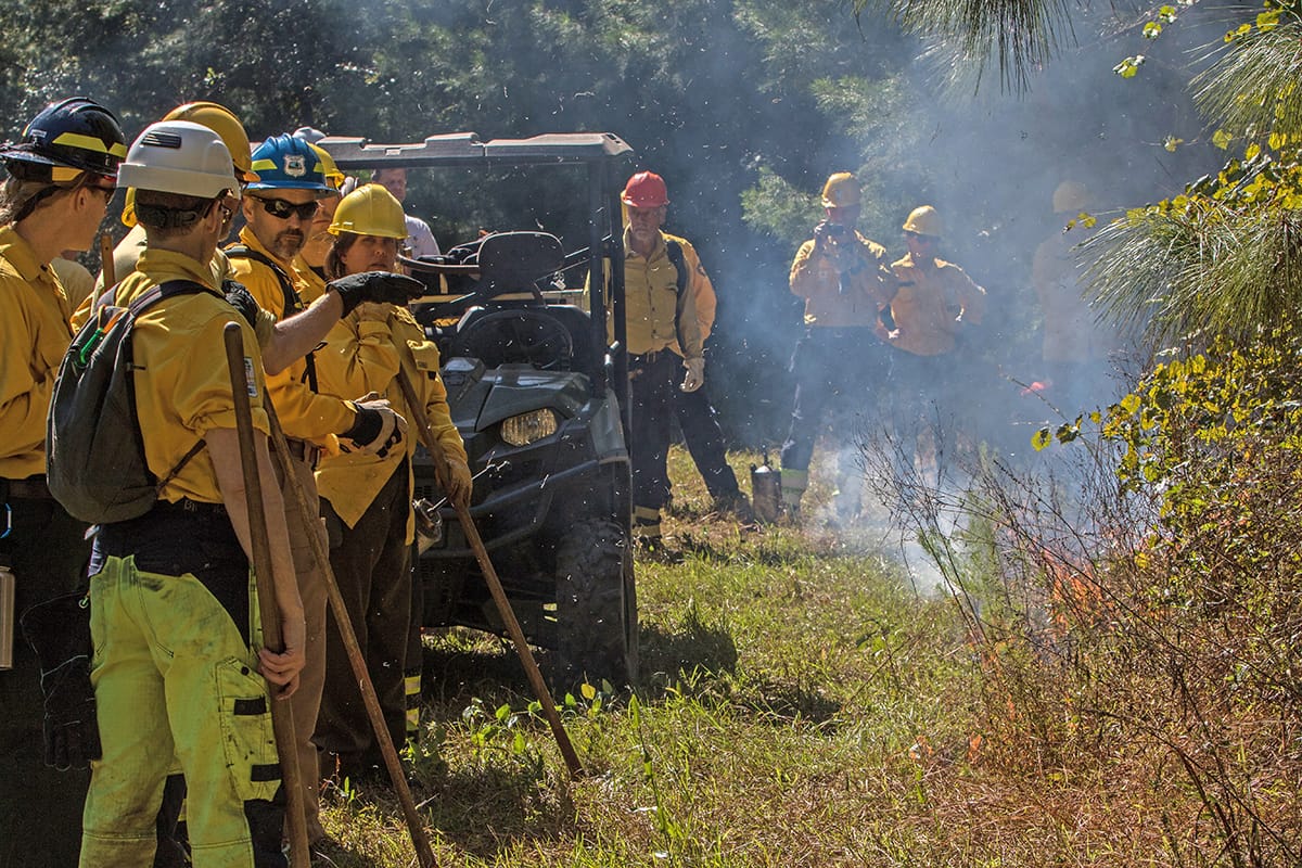 New Director of Fire Research at Tall Timbers