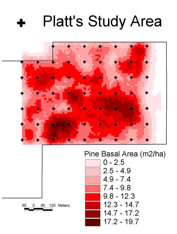 All size classes are represented in an inverse J shaped distribution.