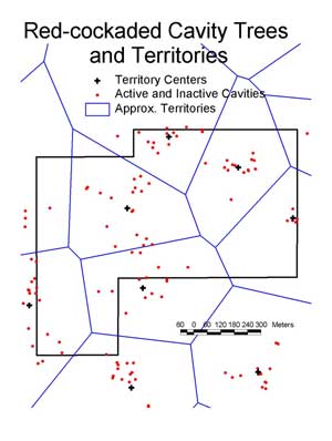 RCW Territth