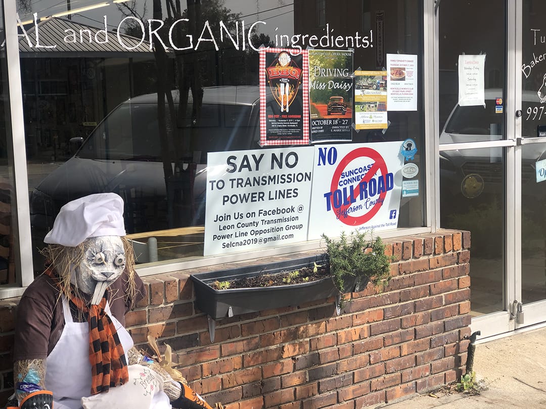 Suncoast Connector Toll Road Update