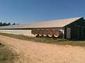 Poultry Barn