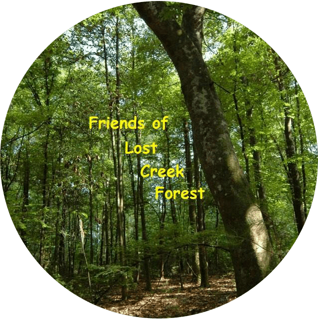 Friends of Lost Creek