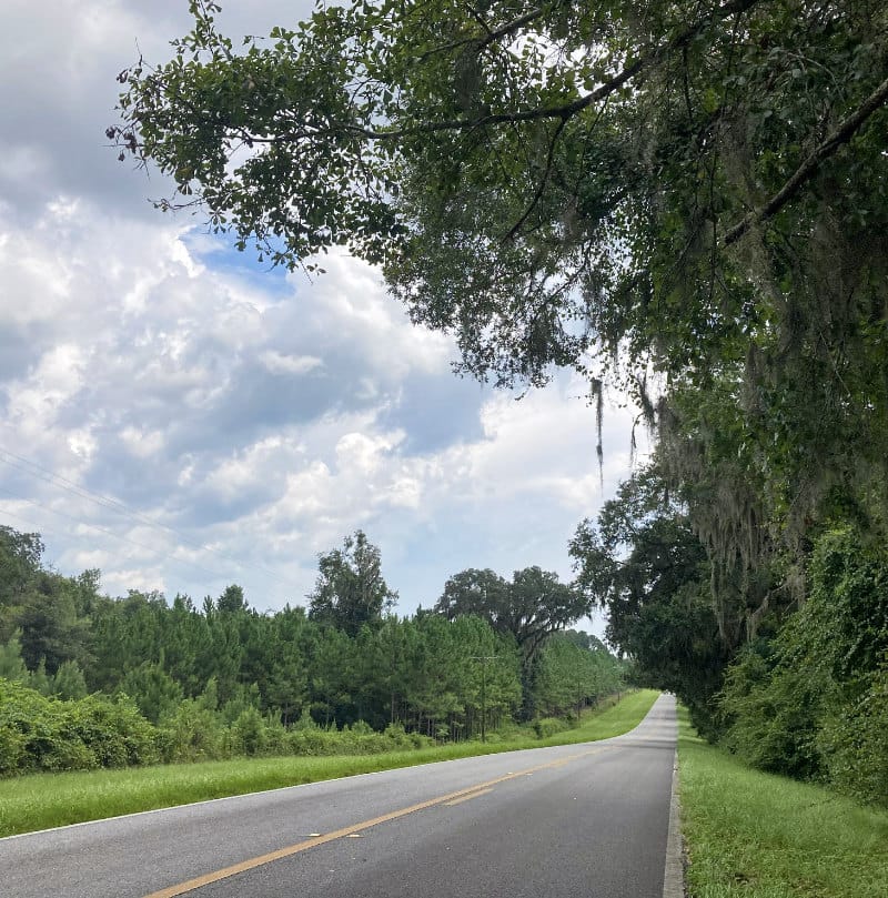 Scenic Road. Photo by Peter Kleinhenz Scenic Driving