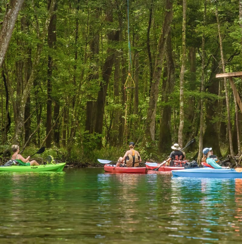 Paddling on the Wacissa. Photo by Preston Ballard Paddling