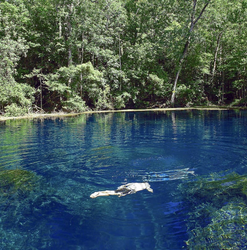 Swimming