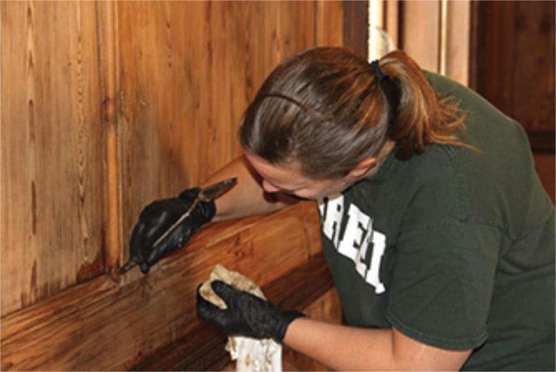 Chief Conservator Mary Aldrich