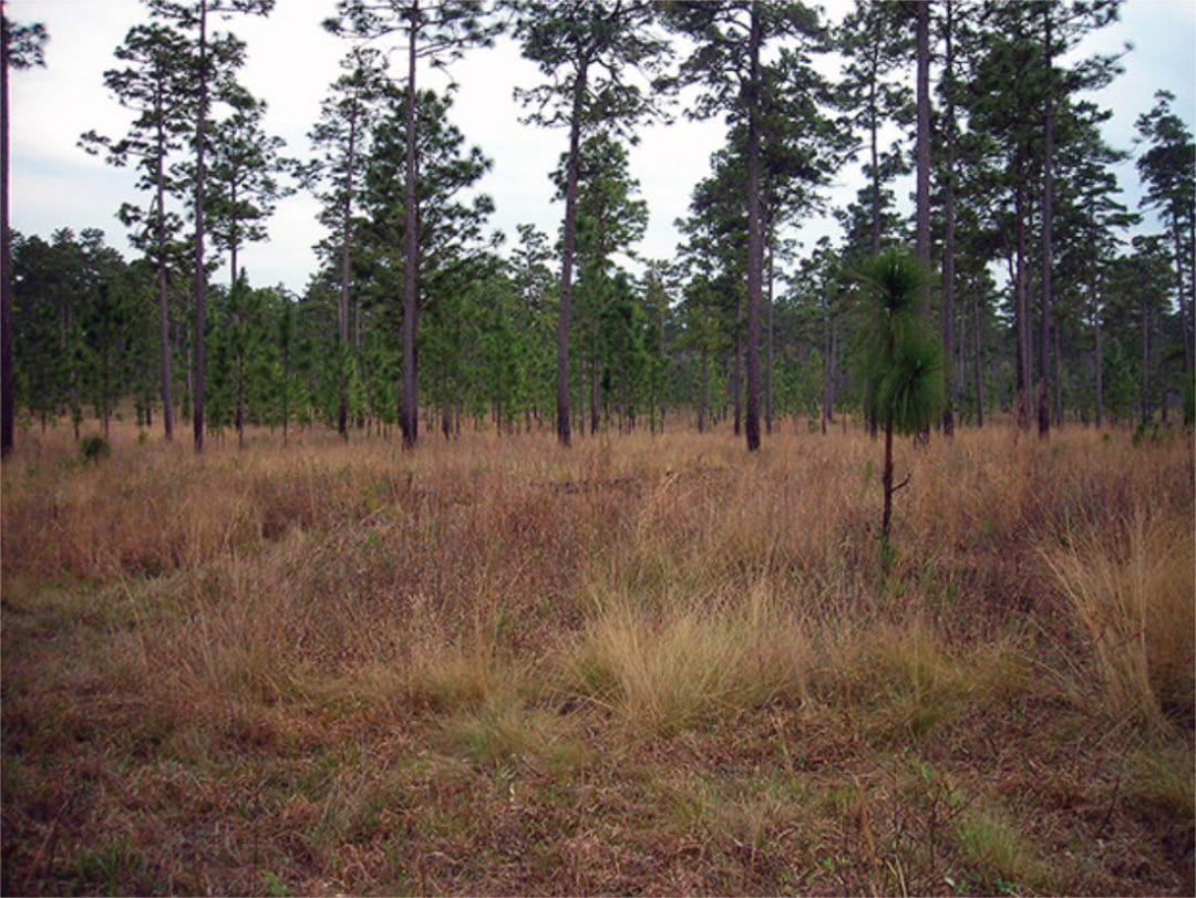 Conservation-Easement Conservation Easement