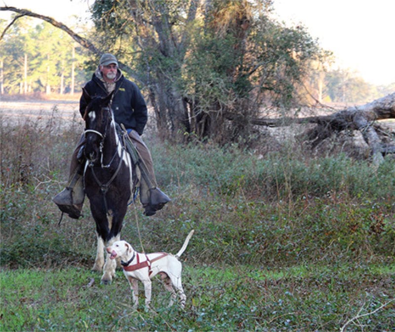 Dog handler with his pointer