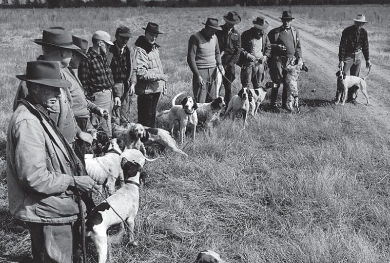 Dog handlers with the pointers they handled Dog handlers with the pointers they handled