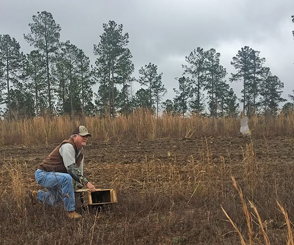 Translocation_Alabama_Mark Sasser