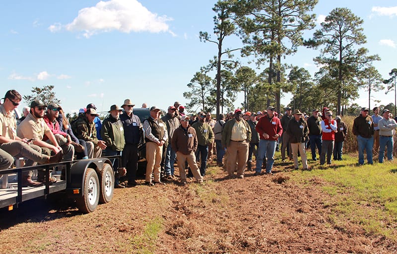 Fall Field Day Returned to Nilo