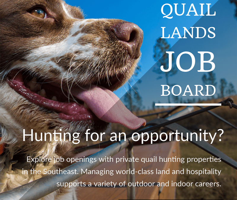 Job Board Connects Job-seekers with Job Opportunities