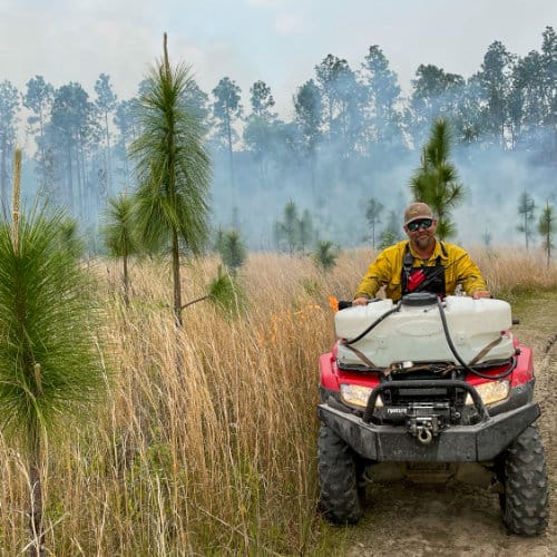 Tall Timbers Research Tall Timbers