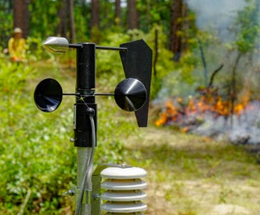 fire-research Fire Ecology