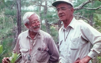 The Beadel Fellowships at Tall Timbers