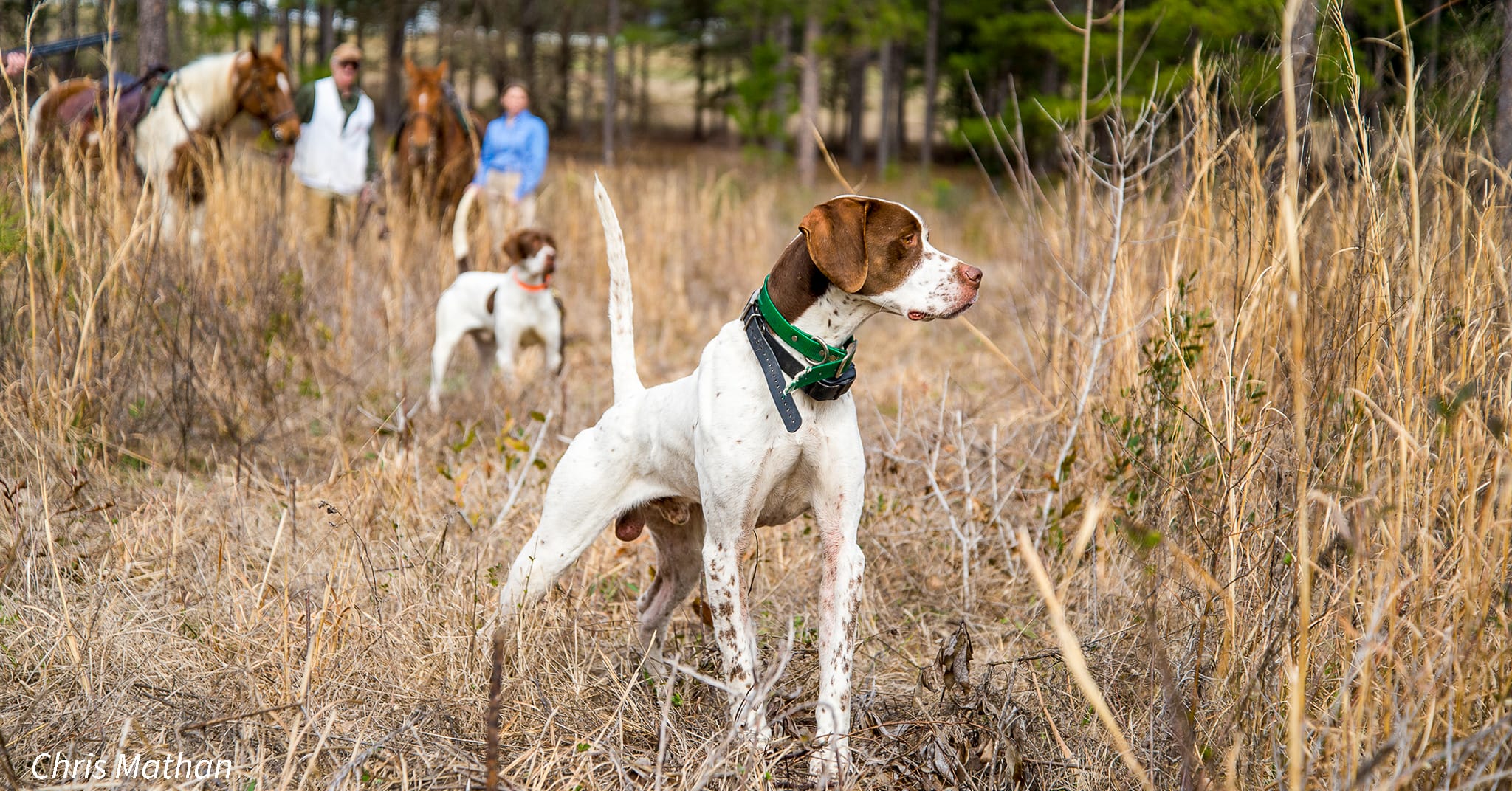 All Hail the Handler