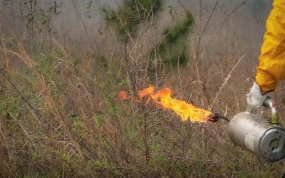 Training for National Fire Use