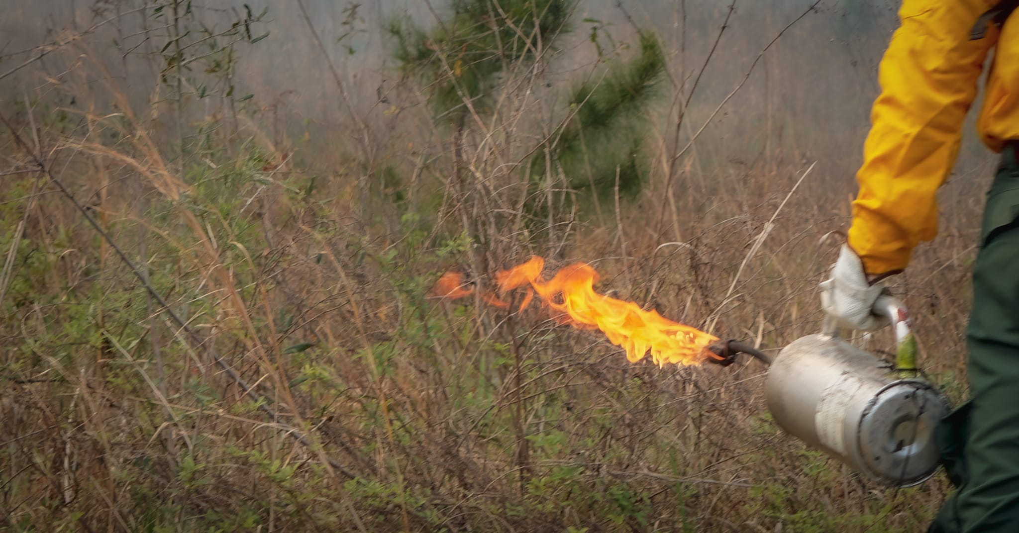 Training for National Fire Use