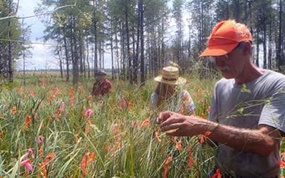 Saving Rare Plants