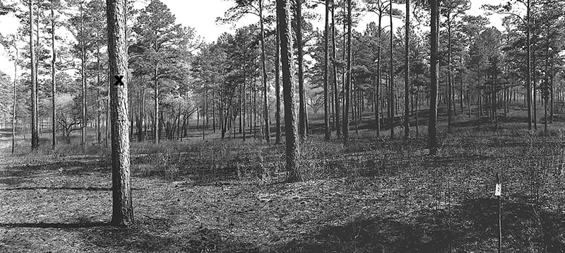 NB-66_1967
