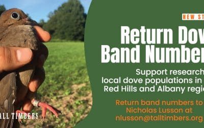 Return Dove Band Numbers for New Study