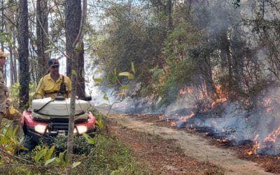 Tall Timbers Supported Prescribed Burn Associations