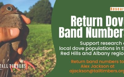 Return Dove Band Numbers for Recurring Study