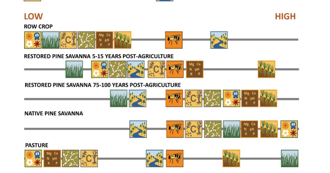 Quail Management Provides Many Ecosystem Services
