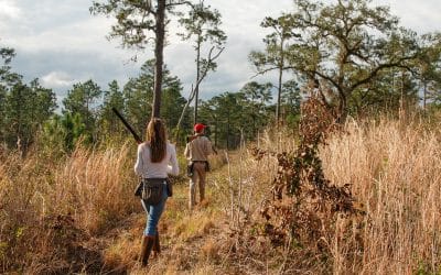 Tall Timbers joins Theodore Roosevelt Conservation Partnership Policy Council