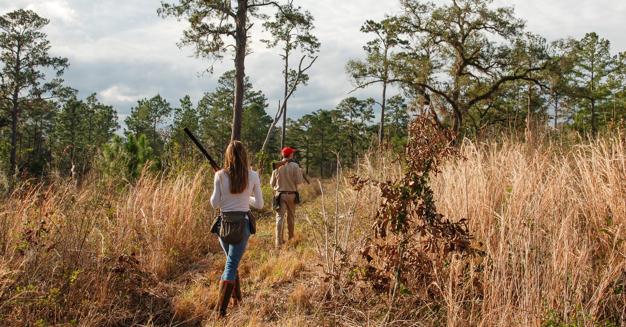 Quail Hunting