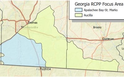 Second Year of Stewardship Funding Opens for Georgia Landowners