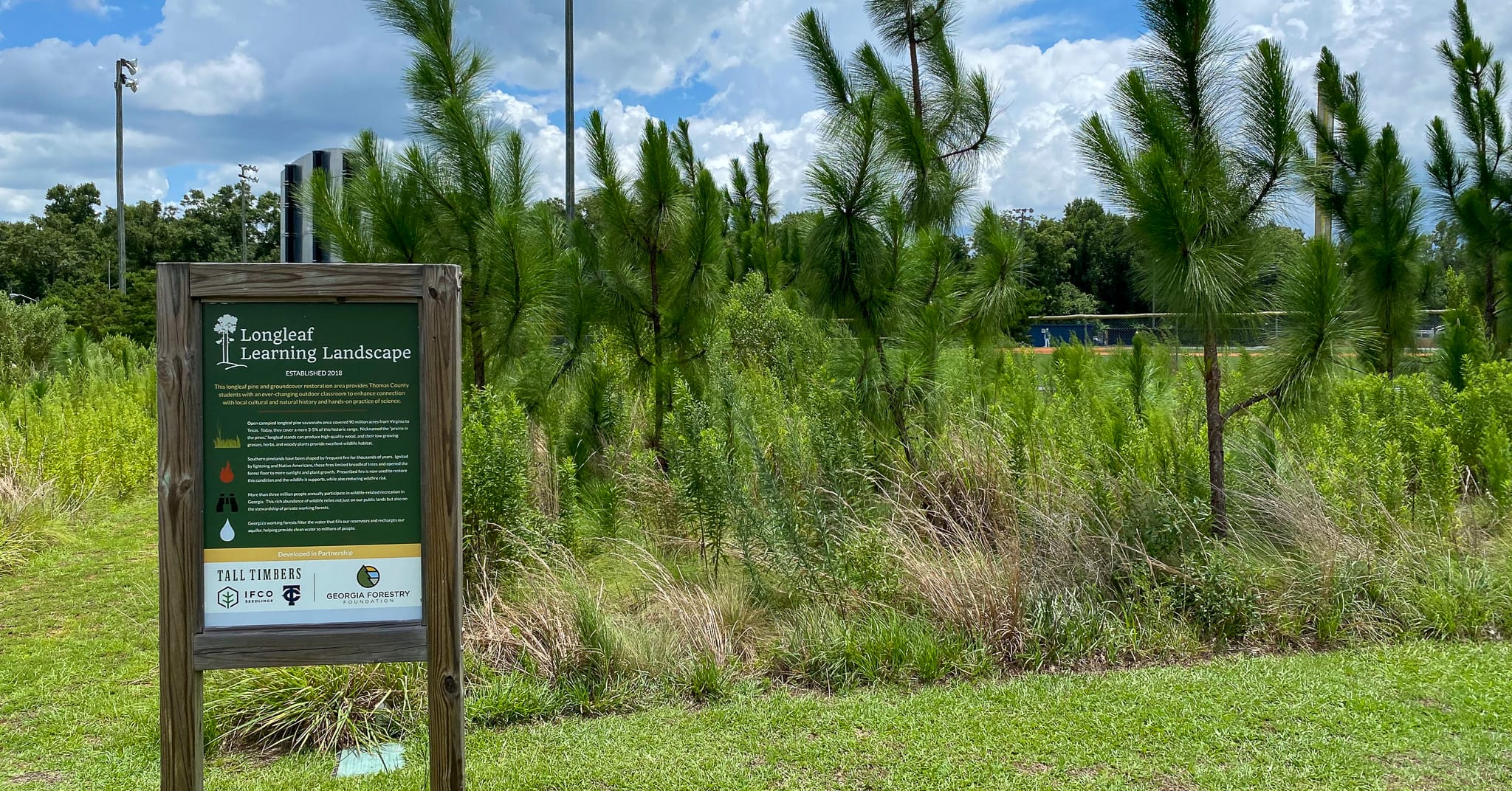 Second Prescribed Burn on Thomas County Central High School Longleaf Plot