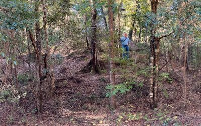 Floyd’s Mound — Conserving Land and Archeological Resources with the Red Hills Opportunity Fund