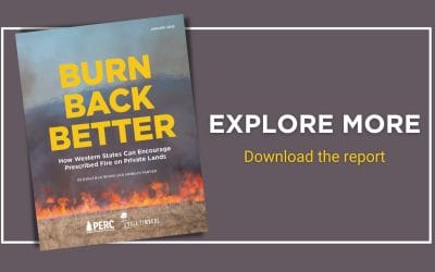 How Western States Can Encourage Prescribed Fire on Private Lands