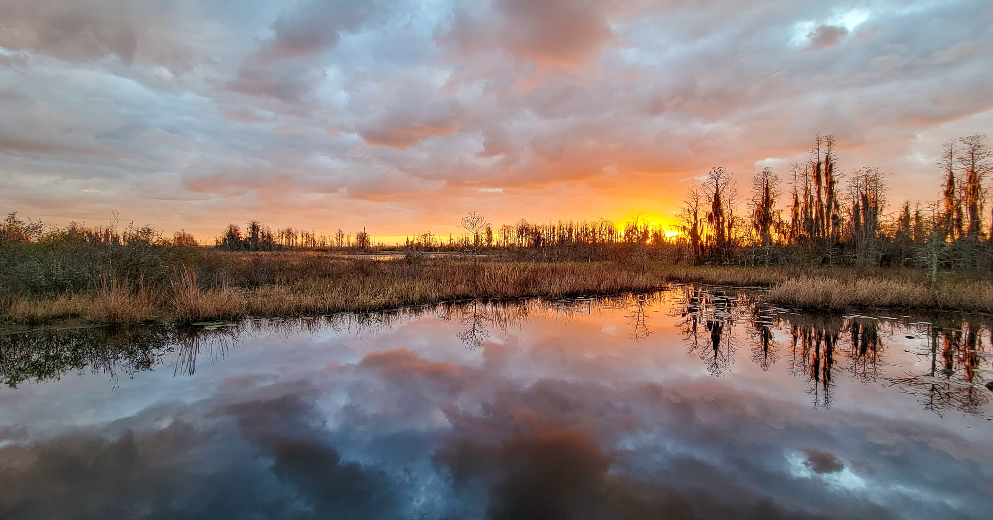 Mining Proposal in Georgia’s Famed Okefenokee Swamp Now Open for Public Review