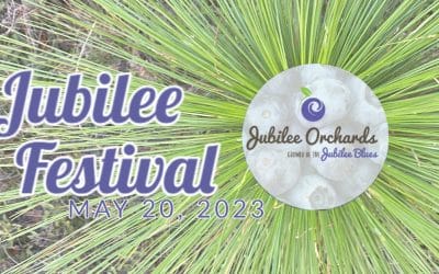 See land conservation practices at work at Jubilee Festival