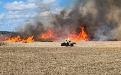 Burning dry Lake Jackson will improve water, habitat health