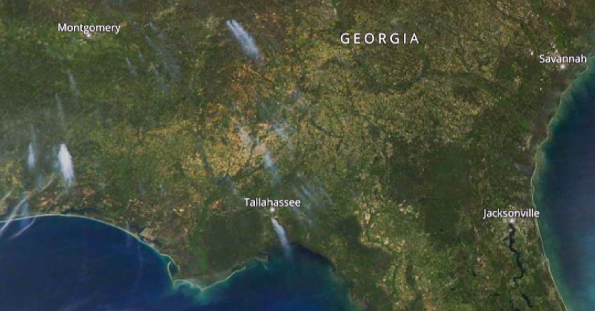 Congressional members urge EPA to ensure efficient and timely use of prescribed fire under new air standards