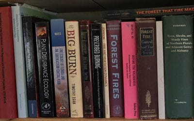 Summer’s here. Add these books about fire to your reading list