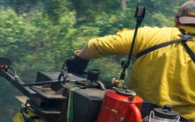 Summer’s dry down is the perfect time to burn wetlands