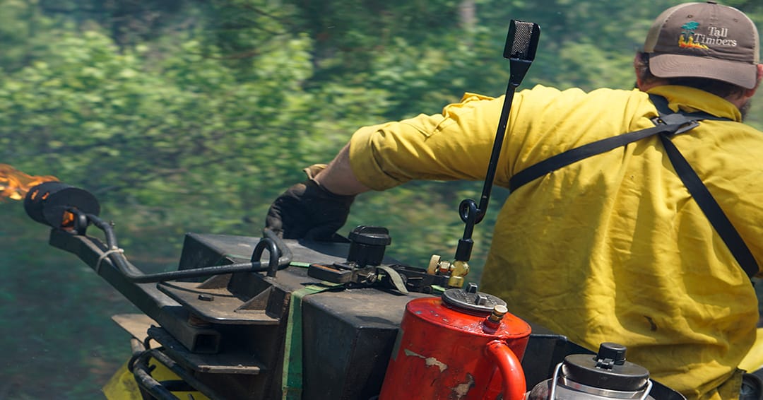 Summer’s dry down is the perfect time to burn wetlands