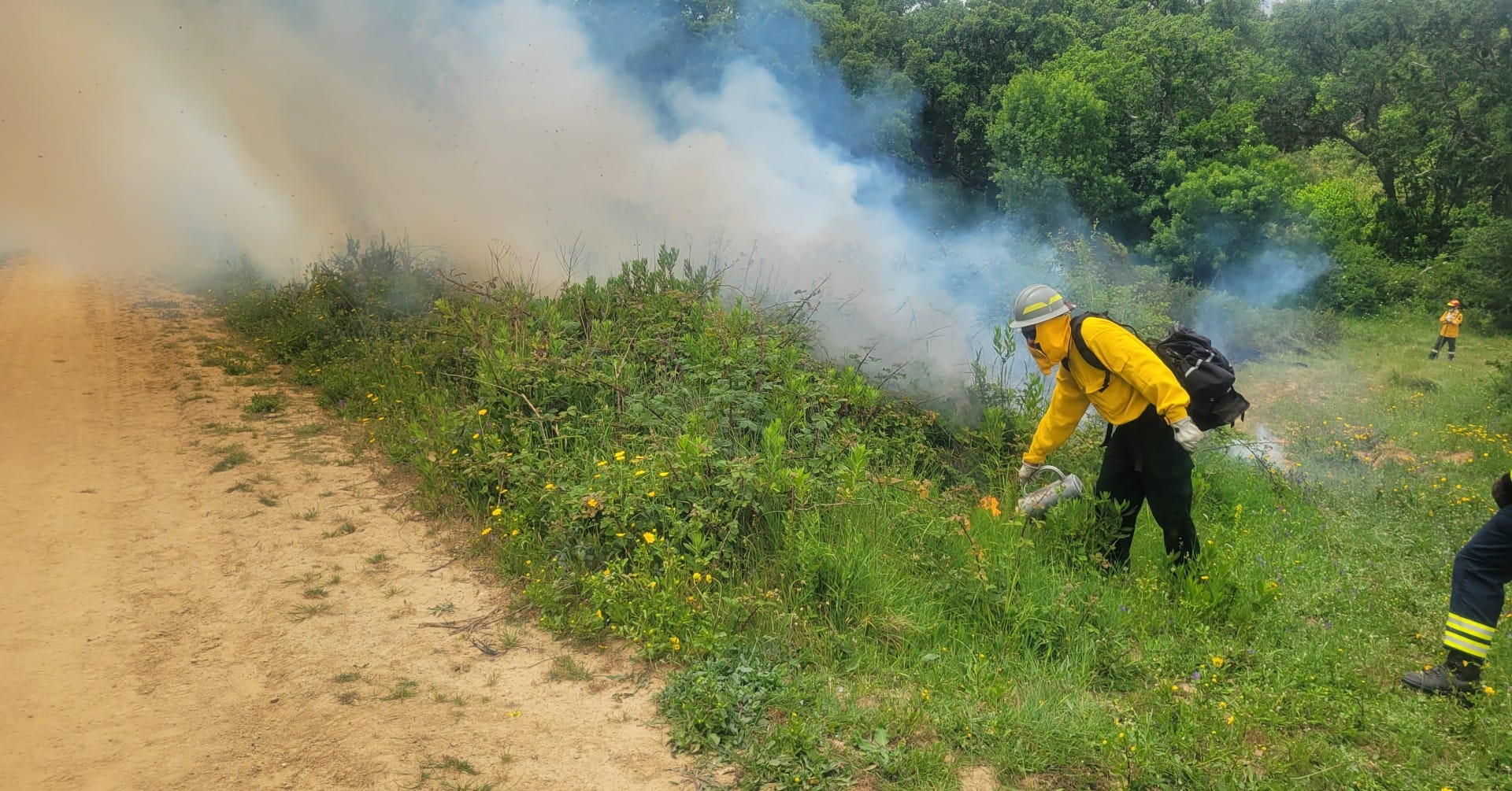 Komareks’ international work lives on as Europe explores prescribed fire