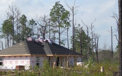 Tools to avoid housing, wildfire repeat