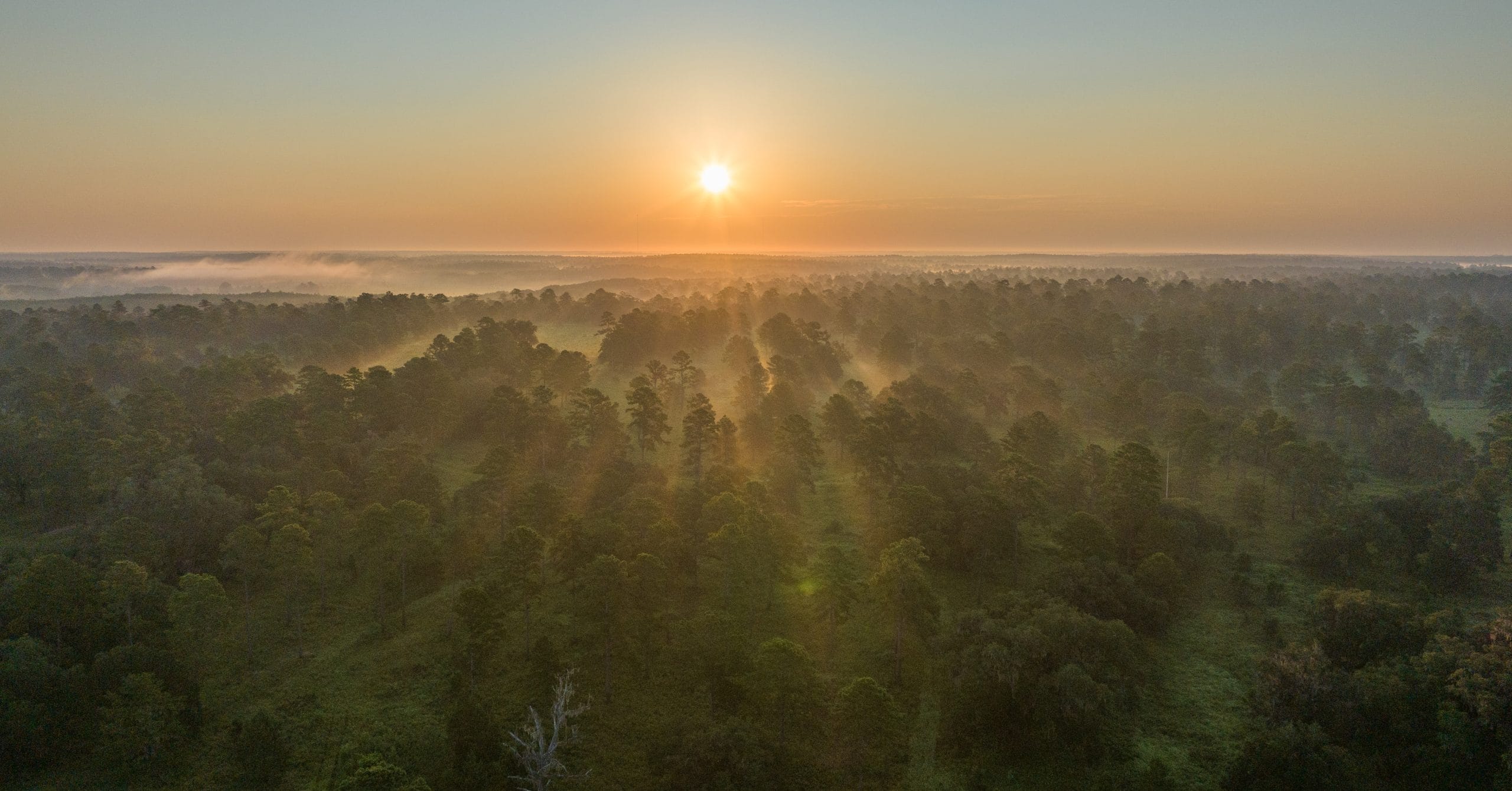 More than 4,800 acres of Leon County’s Cherokee property put into conservation