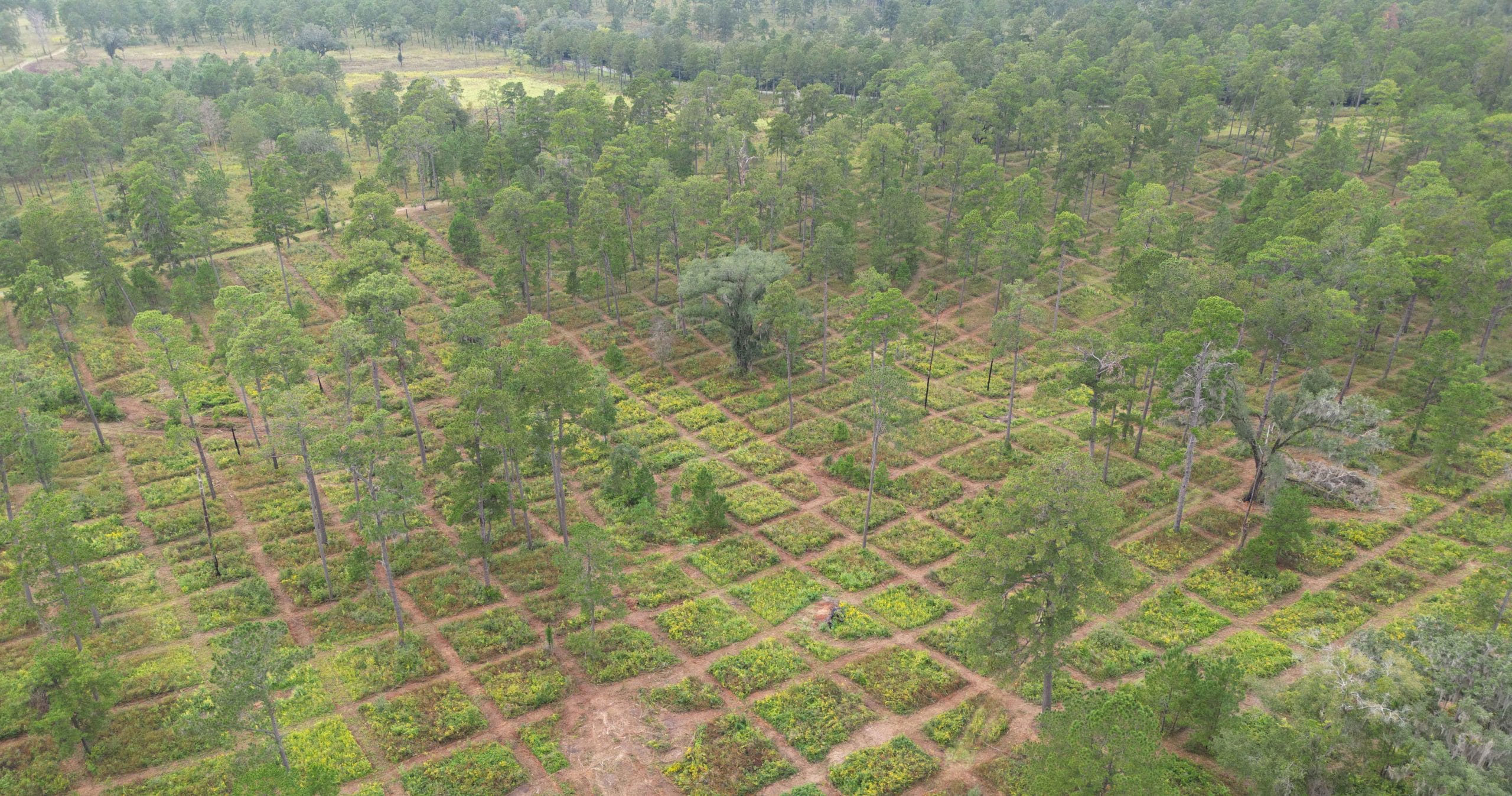 Rotating hunt courses reduces pressure on birds