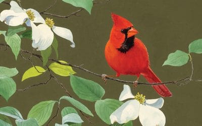 A look back at the making of Georgia Birds: Burleigh, Sutton, Stoddard, and Komarek